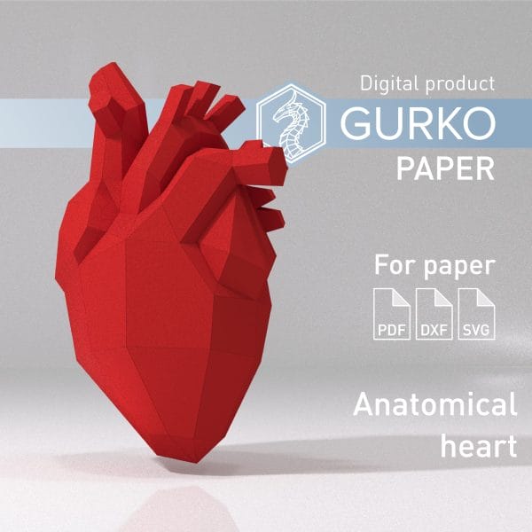 Anatomical Heart Papercraft, Digital Template, PDF, SVG, DXF