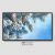 Samsung Frame TV Art Winter Pine Tree