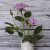 Realistic rose lilac pink flower arrangement for home