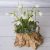 White cold porcelain flowers snowdrop gifts