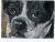 ACEO Original Art Mini Oil Painting Dog Sweet Face