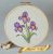 Irises digital pattern embroidery DIY
