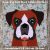 Boxer dog Quilt Block PDF Pattern # 2 (fullface)