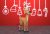 DIY Christmas Deer 3D model template Papercraft PDF
