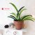 Felt flowers home decor farmhouse pattern, Fabric house plant