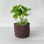 Flower pot handmade – Plant pot covers at b&q, 2 best colors