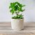 Plant pot cover ideas – Flower pot covers, Unique home gifts