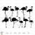 Flamingo Svg Silhouette Cricut files Download Templates Png
