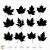 Maple Svg Leaves Silhouette Cricut Stencil Template