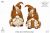 Horse brown gnome, digital clipart png, love horse