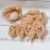 Newborn Lion bonnet and stuffed toy. Knitted baby photo prop