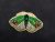 Brooch handmade green moth