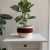 Fall plant pot Rope basket with handle