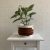 Fall basket decor for plant Cotton rope basket with handles