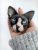Sphynx cat portrait brooch. Pet portrait from photo