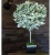 Money Tree Talisman Amazing Unusual Table Decor Gift Prank