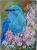 ACEO Original Oil Painting Little Blue Bird