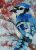 ACEO Original Art Mini Oil Painting Blue Jay