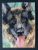 ACEO Original Art Mini Oil Painting GSD Portrait