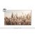 Samsung Frame TV art Pampas Grass landscape 532