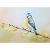Titmouse painting, Tit on a willow, Original pastel drawing 22×30 cm