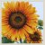 Sunflower Cross Stitch Pattern PDF Modern Beautiful Pillow Flower