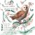 Barn owl&plants winter Christmas digital clipart png