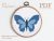 Butterfly blue cross stitch pattern