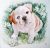 Bulldog Puppy Adorable Eyes Watercolor