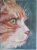 ACEO ATC Ginger Cat Original Oil Painting (SOLD)
