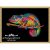 Rainbow Chameleon Cross Stitch Pattern PDF Funny Animal Color