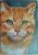 ACEO Cute Ginger Kitten Original Oil Painting