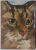 ACEO Original Oil Painting Cat Green Eyes