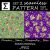 Seamless Pattern. Floral design. Nature, Lilies, Bees, Dragonflies & Stars.