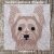 8in Yorkshire Terrier quilt block pattern Paper Piecing
