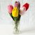 Flower crochet bouquet. Tulips flower composition. Eternal tulips.