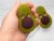 Avocado toys, felt avocado, newborn props