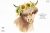 Highland cow with sunflowers clipart PNG, Heifer