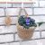 Minimalist plant hanger Wall garden decoration