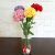 Bouquet flowers carnations.(5pcs). Gift for women’s.