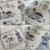 Winterland Primitive Cross stitch pattern PDF Download