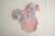Newborn girl onesie photo prop in dusty pink and pale blue