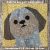 Shih Tzu boy quilt block PDF pattern 4 versions.