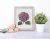 Hydrangea Cross Stitch Pattern PDF, Flower Cross Stitch, Summer Cross Stitch