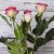 Cold porcelain roses realistic flowers with stems