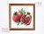 Pomegranate cross stitch pattern