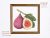 Fig cross stitch pattern