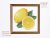 Lemons cross stitch pattern